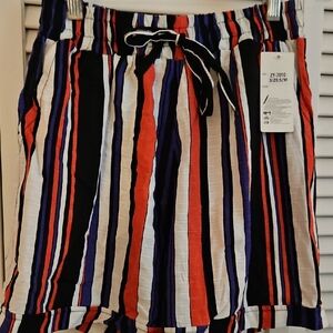 Striped Multicolor Shorts